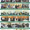 Newsletter (3)