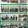 Newsletter  (3)